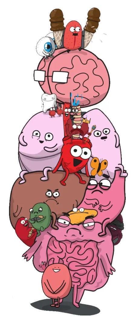 Настольная игра Органы АТАКУЮТ! (LOB2314UA) - фото 4 Настольная игра Органы АТАКУЮТ! (LOB2314UA) - фото 4