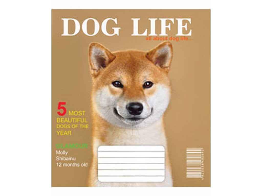 Тетрадь в клеточку Мечты сбываются 12 л. 20 шт. 3546к Собаки (1067277)