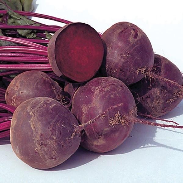 Насіння буряка Водан F1 Bejo Zaden Бейо Голландія 5 г (1746394365) Насіння буряка Водан F1 Bejo Zaden Бейо Голландія 5 г (1746394365)