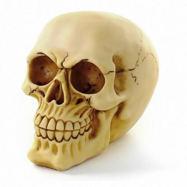 Декор на Хэллоуин Seta Череп Йорик под кость (17-54)