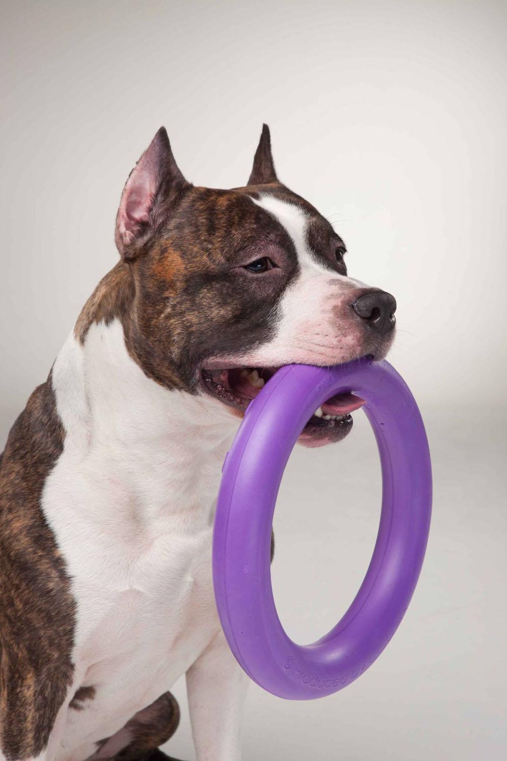 Тренувальний снаряд для собак Puller Standard 28 см (6490) - фото 8