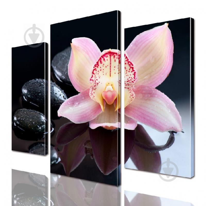 Модульная картина ArtStar цветы ADFL0163 размер 150 х 180 см