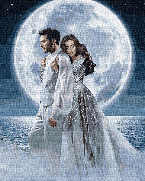 Картина по номерам ТМ Идейка Под лунным сиянием 40х50 см (KHO4552)