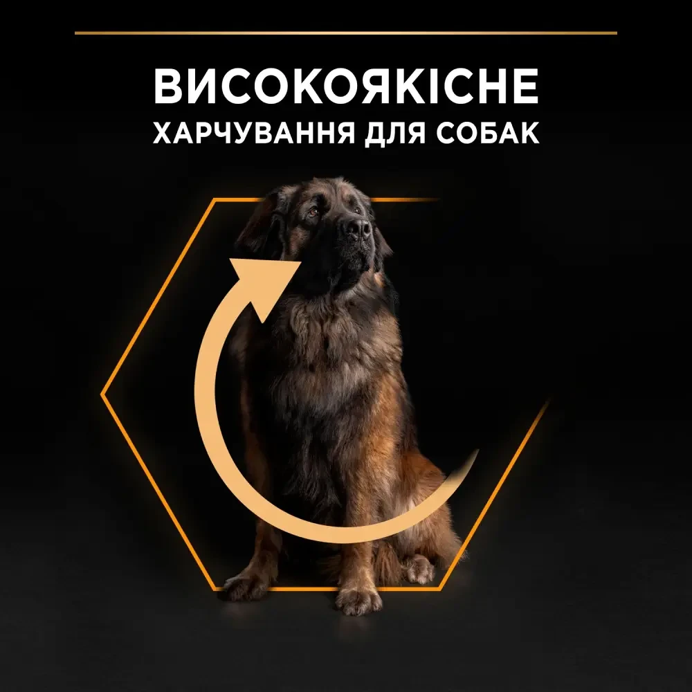 Сухой корм для собак PRO PLAN Large Robust 2/Everyday Nutrion 14 кг - фото 6 Сухой корм для собак PRO PLAN Large Robust 2/Everyday Nutrion 14 кг - фото 6