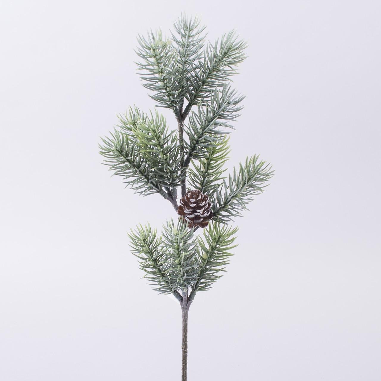 Ветка новогодняя Барселона (1494)