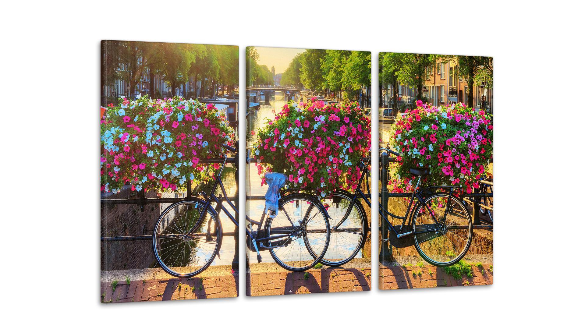 Модульная картина Цветы Велосипеды 53x100 см (Art-179_3А)