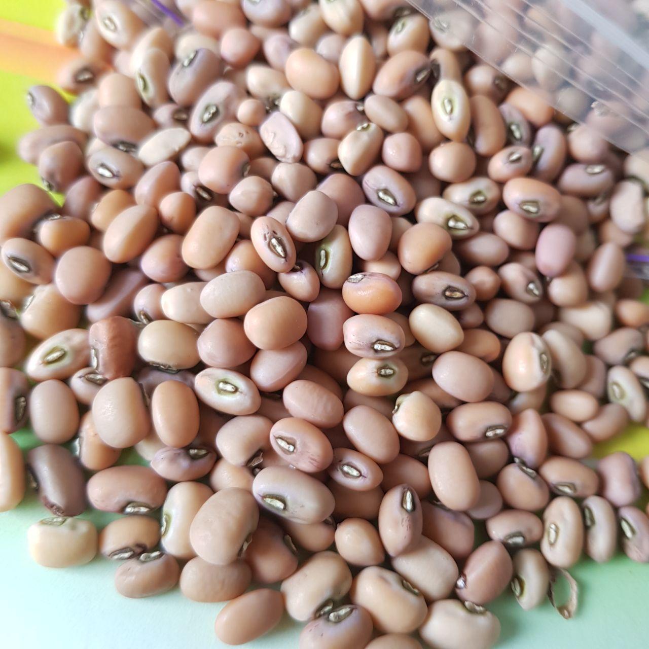 Насіння квасоля вигна або чорноока квасоля 50 шт. (2976315680)