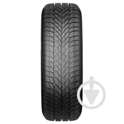 Автошина Paxaro INVERNO 215/50 R17 95V XL FR