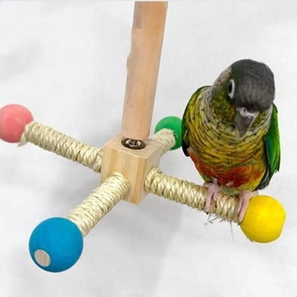 Игрушки для попугаев Качели вращающиеся из натурального дерева (J00175) - фото 10 Игрушки для попугаев Качели вращающиеся из натурального дерева (J00175) - фото 10