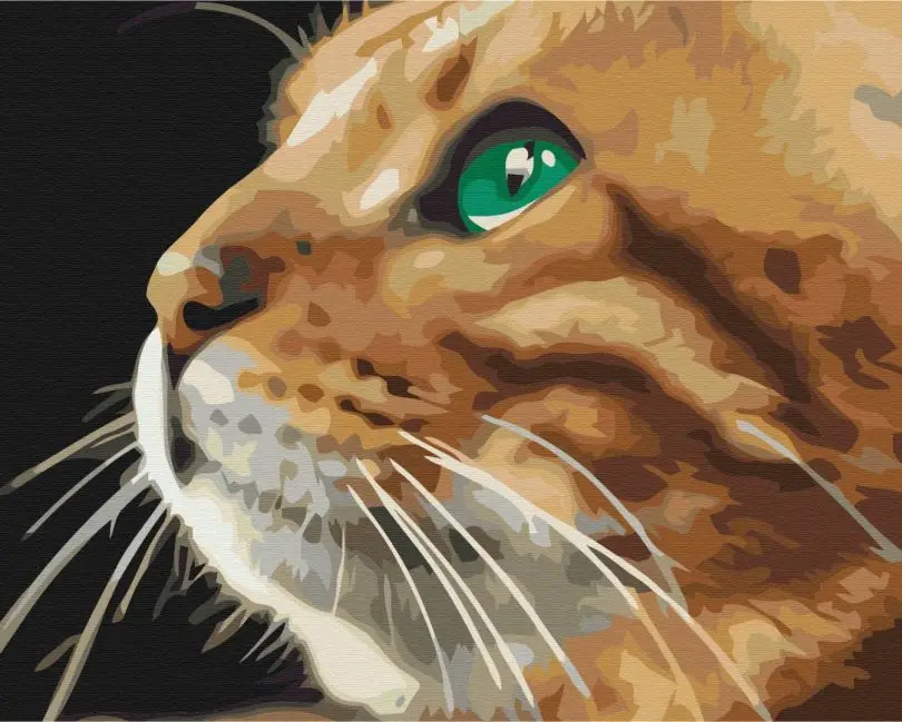 Картина по номерам Brushme Взгляд рыжули 40x50 см (BSM-B52377) Картина по номерам Brushme Взгляд рыжули 40x50 см (BSM-B52377)