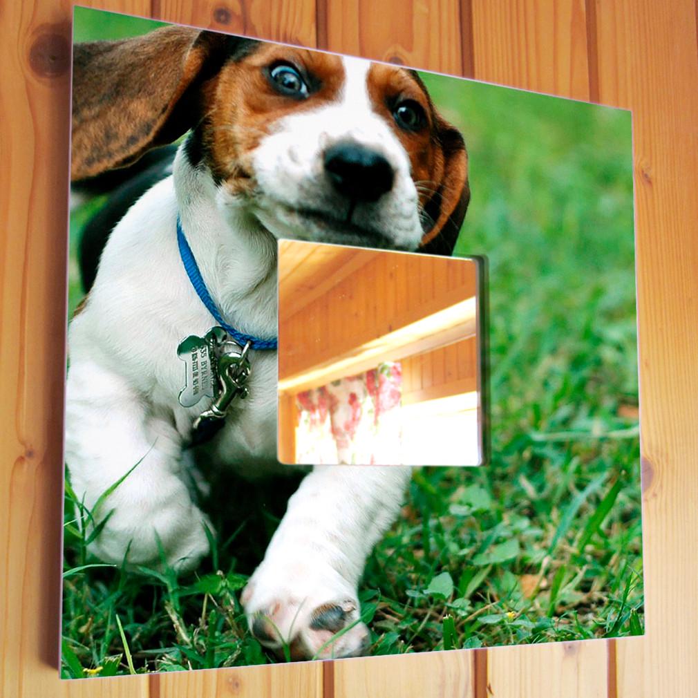 Зеркало декоративное Собака Бигль 260х260 мм (M03686)