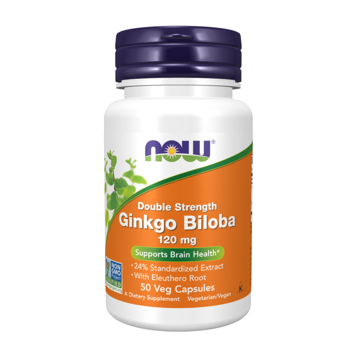 Диетическая добавка Now Ginkgo Biloba 120 мг 50 капсул