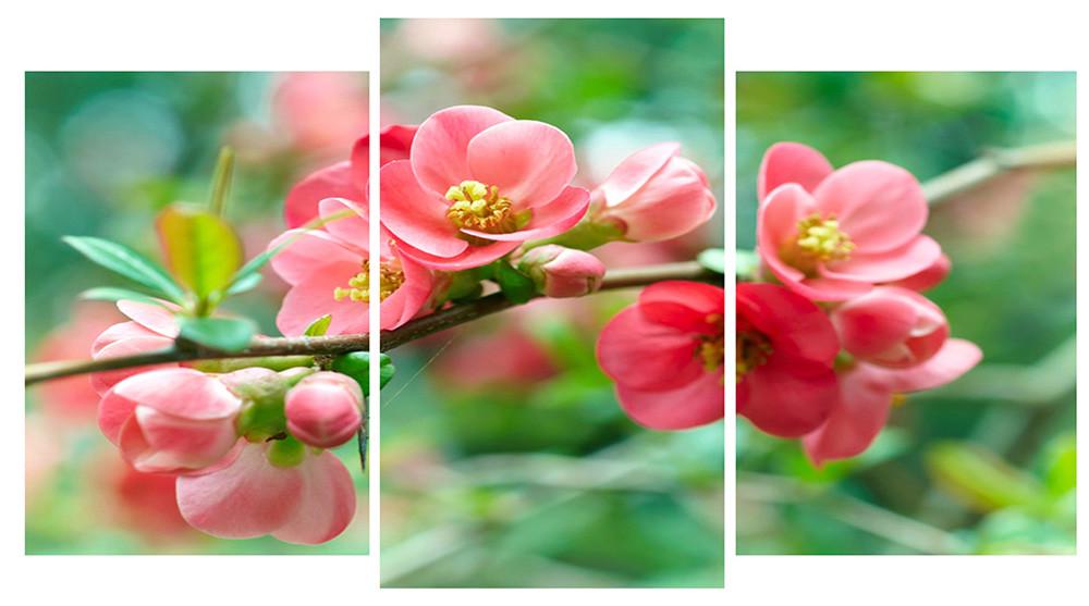 Модульная картина Декор Карпаты 100х53 см (M3-t150)