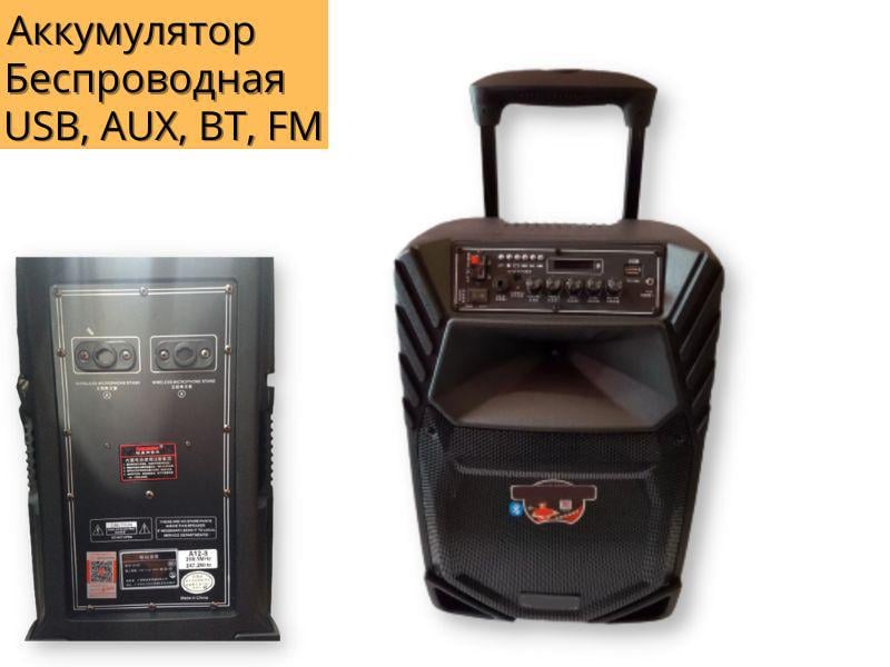 Акустична система акумуляторна XPRO A 12-8 80 Вт USB/SD/FM радіо/Bluetooth/2 мікрофона/ДК (A 12-8) - фото 2