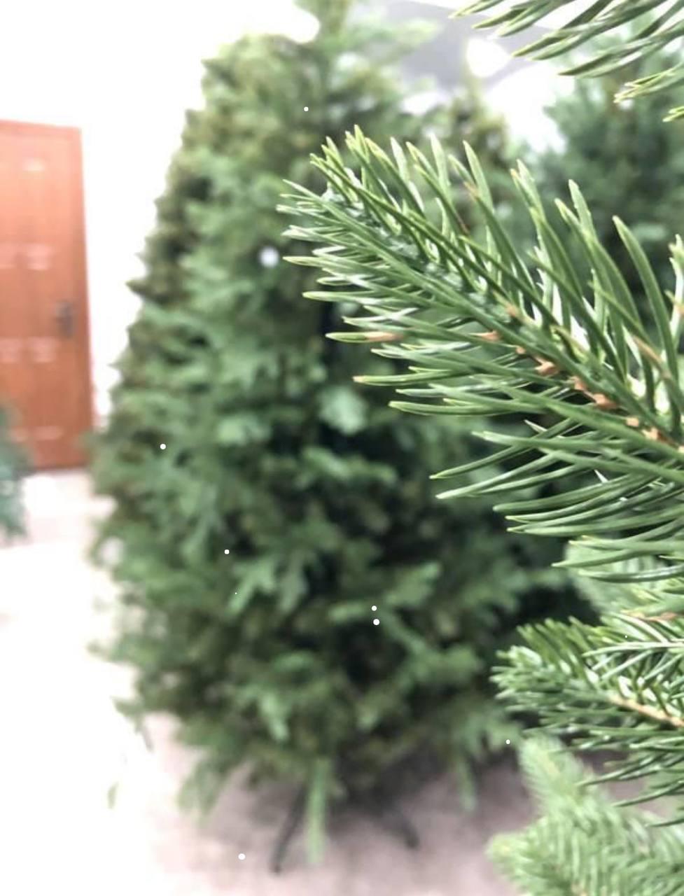 Штучна ялинка новорічна Віденська лита 2,30 м з металевою підставкою Зелений (21626487) - фото 6
