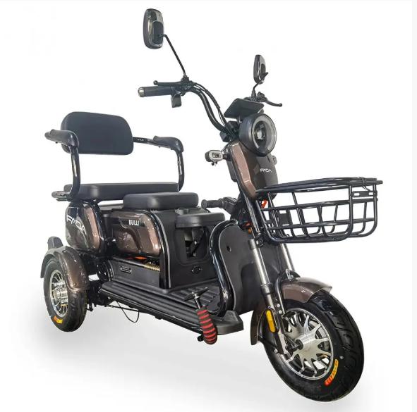 Электротрайк FADA Bulli 600W Кофейный