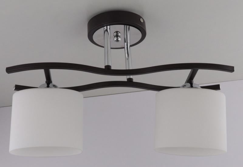 Люстра потолочная на 2 лампочки 2441/2 Черный (5-2441/2 Черный) Люстра потолочная на 2 лампочки 2441/2 Черный (5-2441/2 Черный)