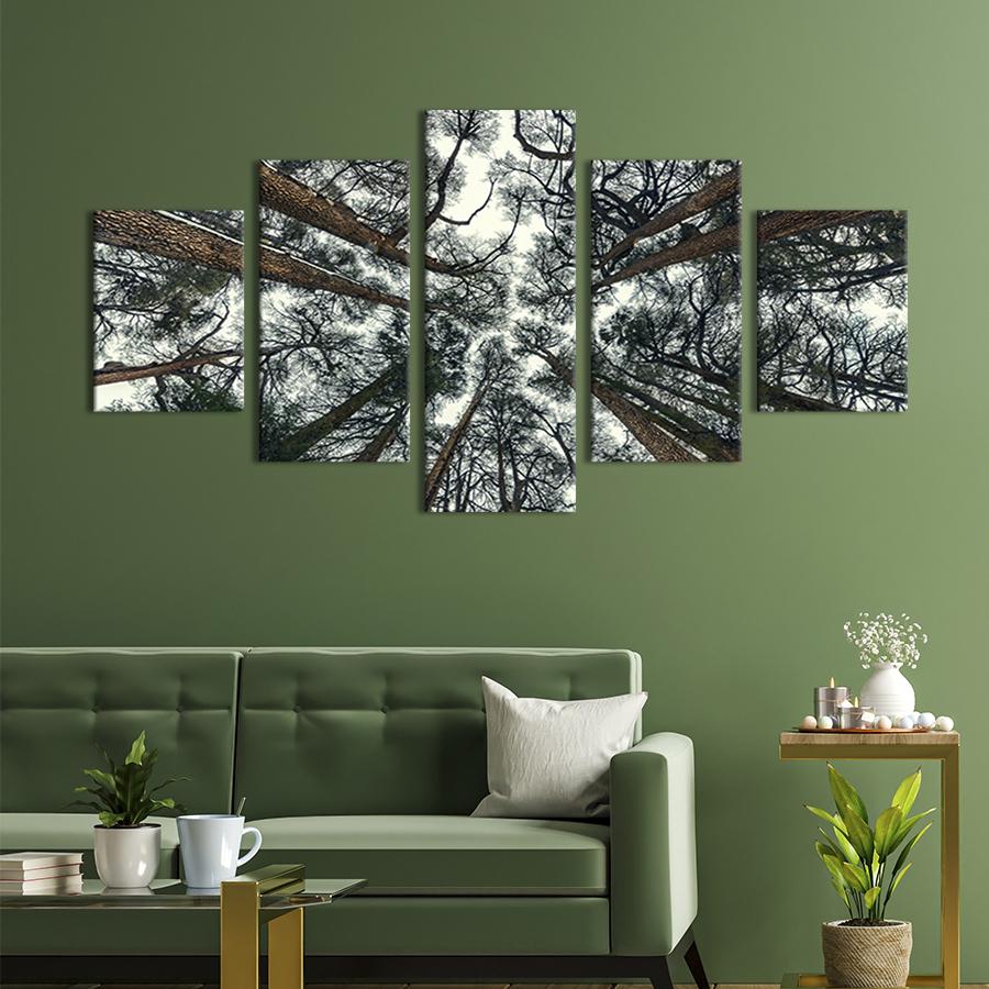 Модульная картина из 5 частей на холсте интерьерная картина Высокий кедровый лес 162x80 см (617-52)