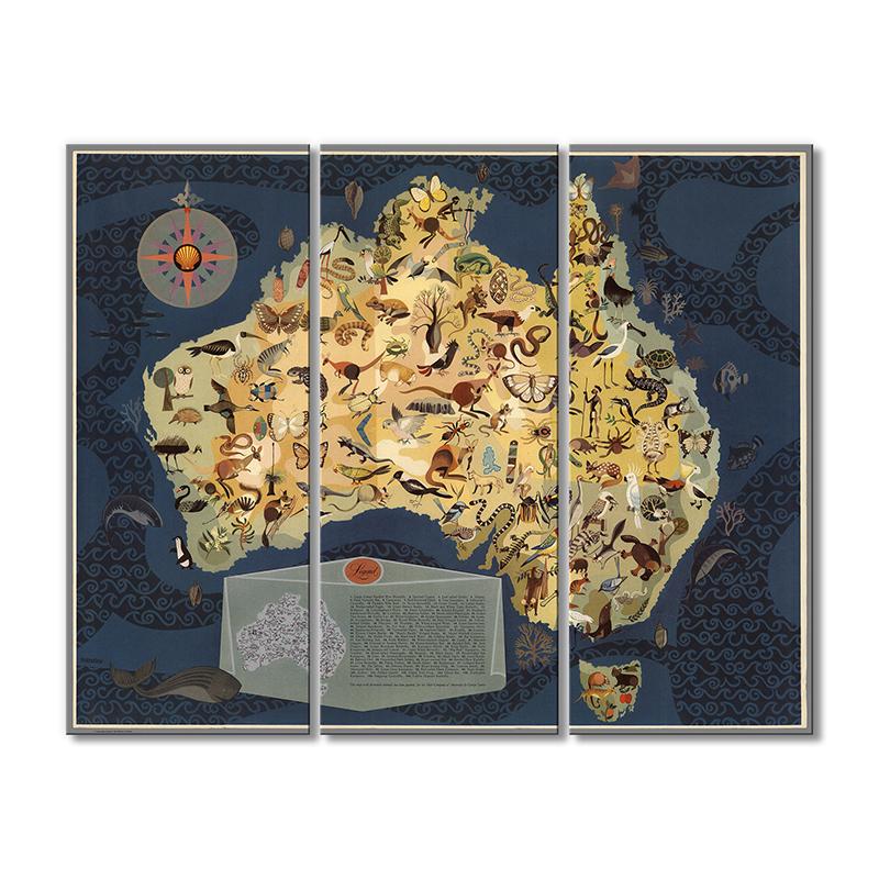 Карта Эко Карта Австралии 3 модуля 90x135 см