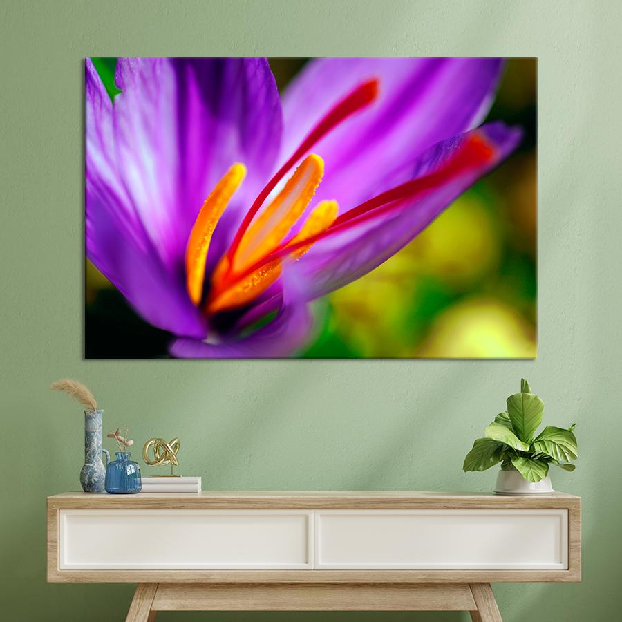 Картина цветы и растения Цветок шафрана 120x80 см (A1024-1)