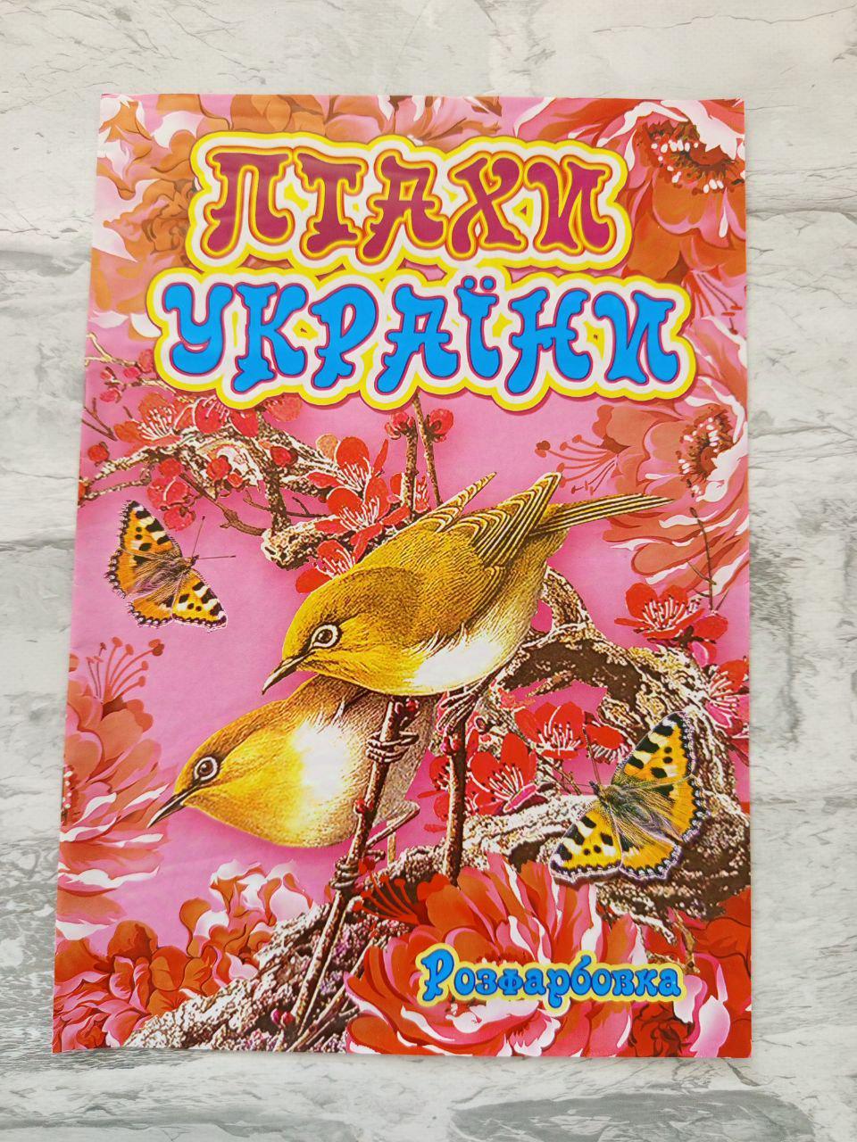 Розмальовка дитяча "Птахи України" А4 (1618)
