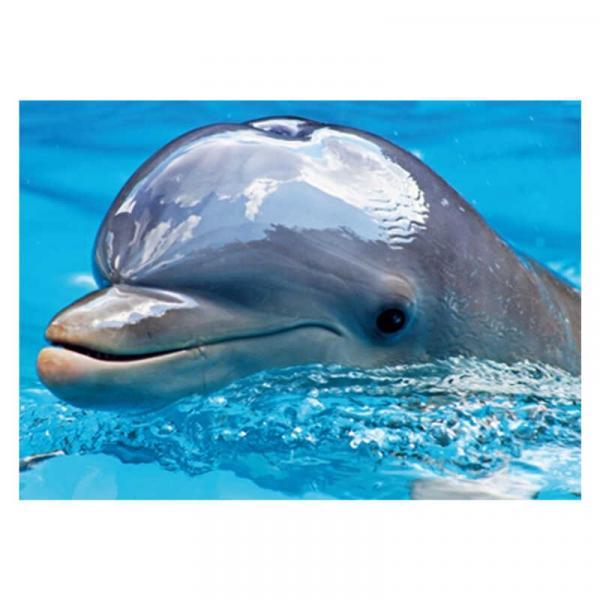 Алмазна мозаїка TK Group Дельфін 40х30 см з рамкою в коробці (GB77564-mt)
