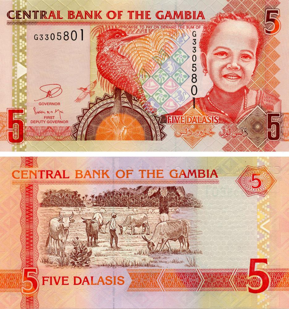 Коллекционная банкнота Гамбия 5 даласи 2013 UNC P25c (Б14744)