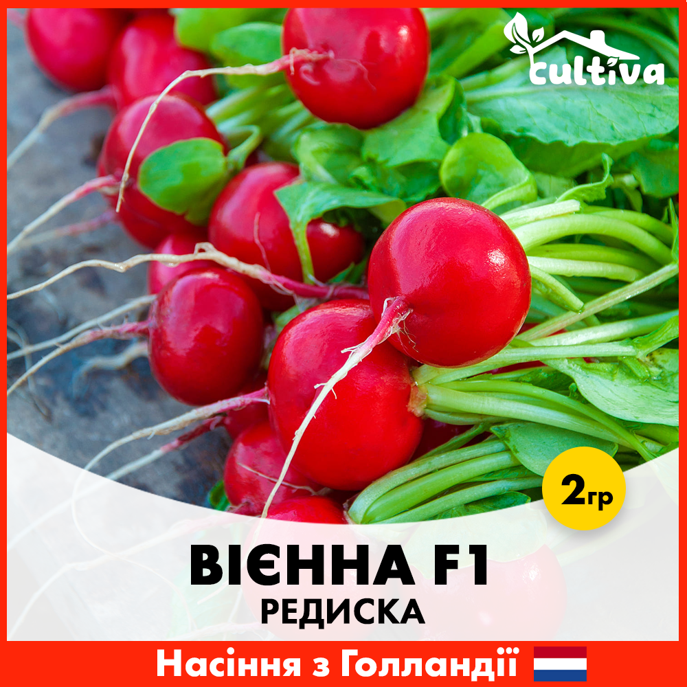 Семена редиса Enza Zaden Виенна F1 2 г (423)