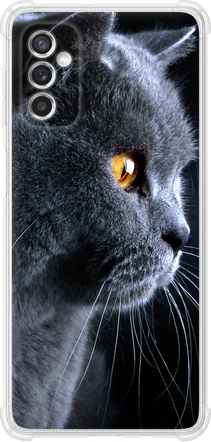 Чехол на Samsung Galaxy M52 M526B Красивый кот (3038sp-2490-42517)