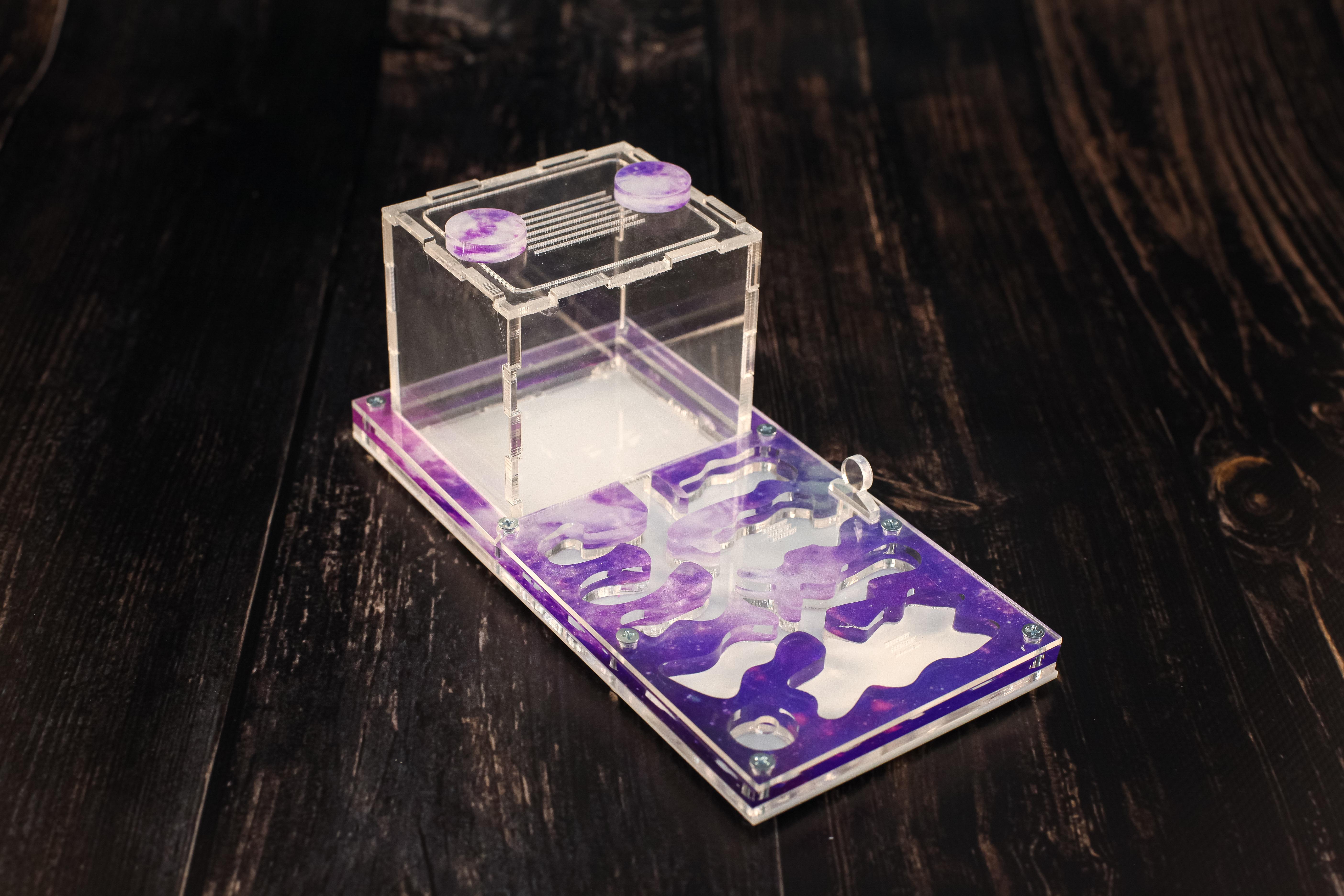 Муравьиная ферма ANTTemple Формикарий микро 18х9 см - фото 7 Муравьиная ферма ANTTemple Формикарий микро 18х9 см - фото 7