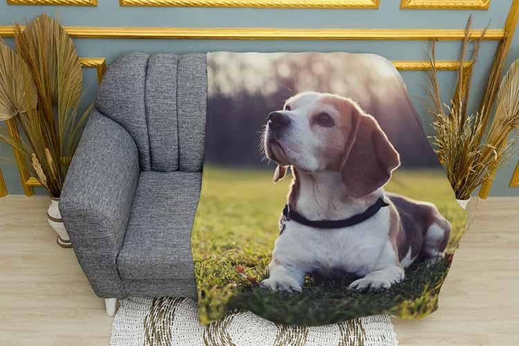 Плед Jack Russell terrier in field плюш однослойный 135х150 см (113448)