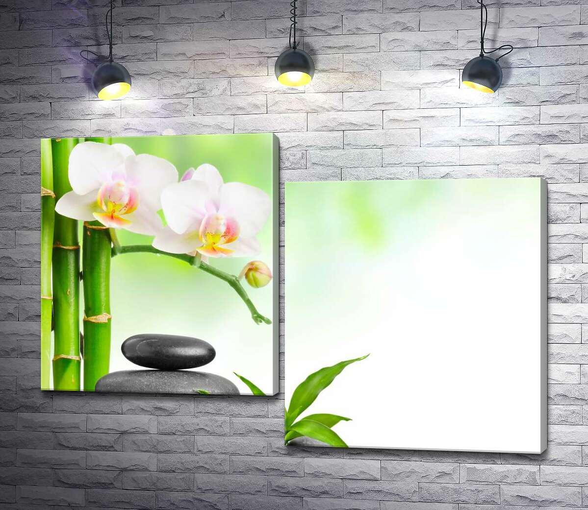Модульная картина ArtPoster Витончені квіти орхідеї звисають над чорним камінням біля світло-зелених стовбурів бамбуку 100x69 см Модуль №5 (000213)