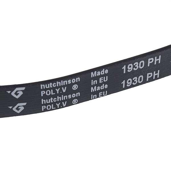 Ремінь приводу 1930H7 PH HUTCHINSON для сушильної машини (00000045830) - фото 3