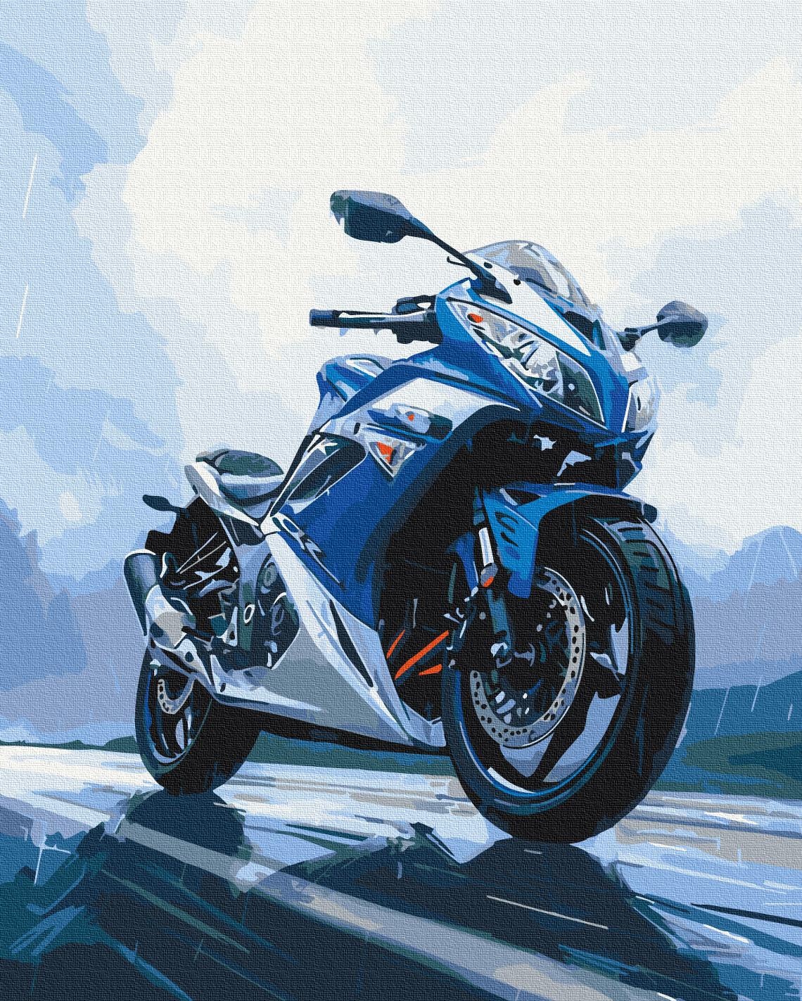 Картина по номерам Brushme Свобода на колесах 40x50 см (BS54125)