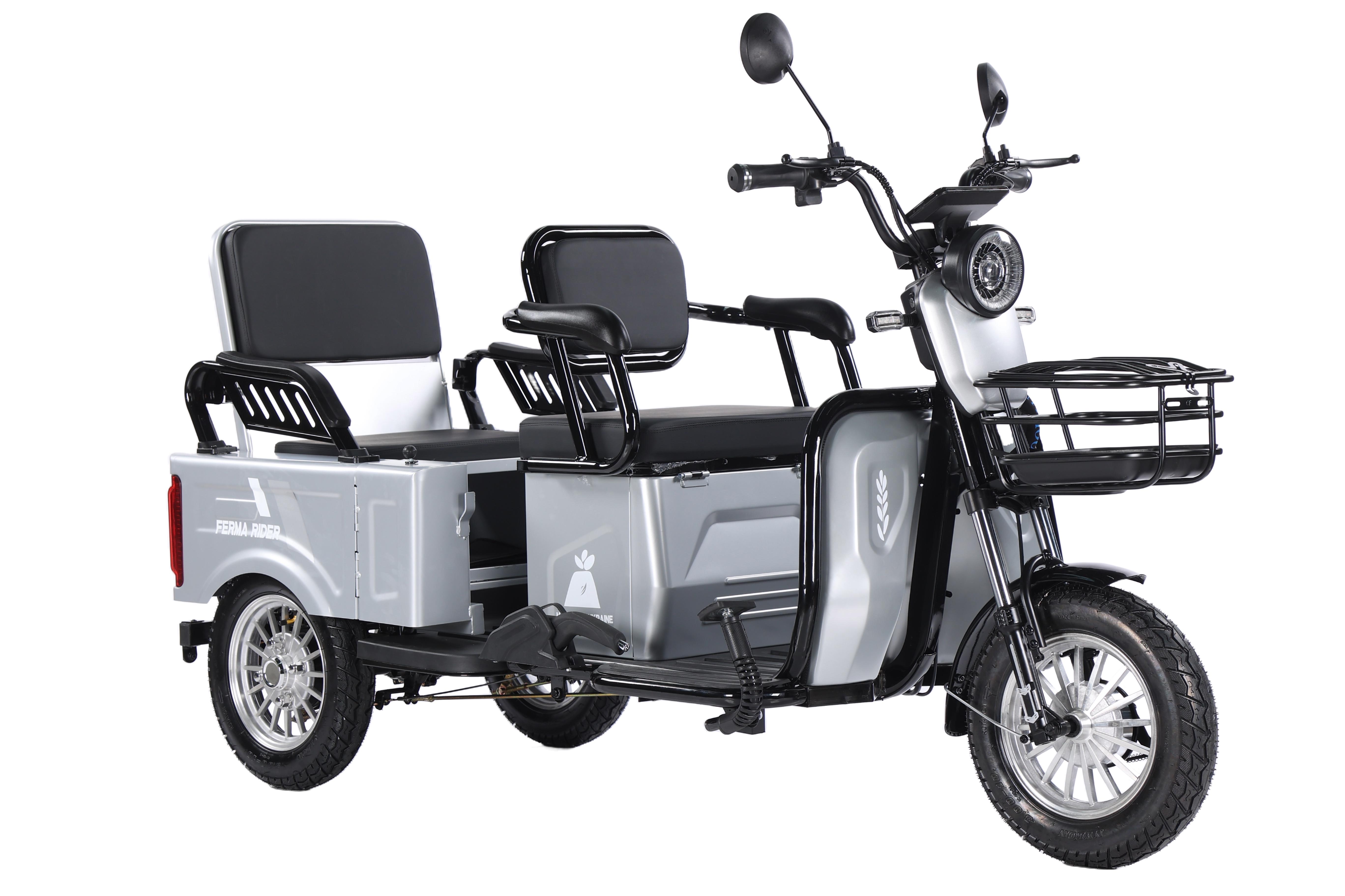 Електроскутер триколісний Ferma Rider 2000W Сірий