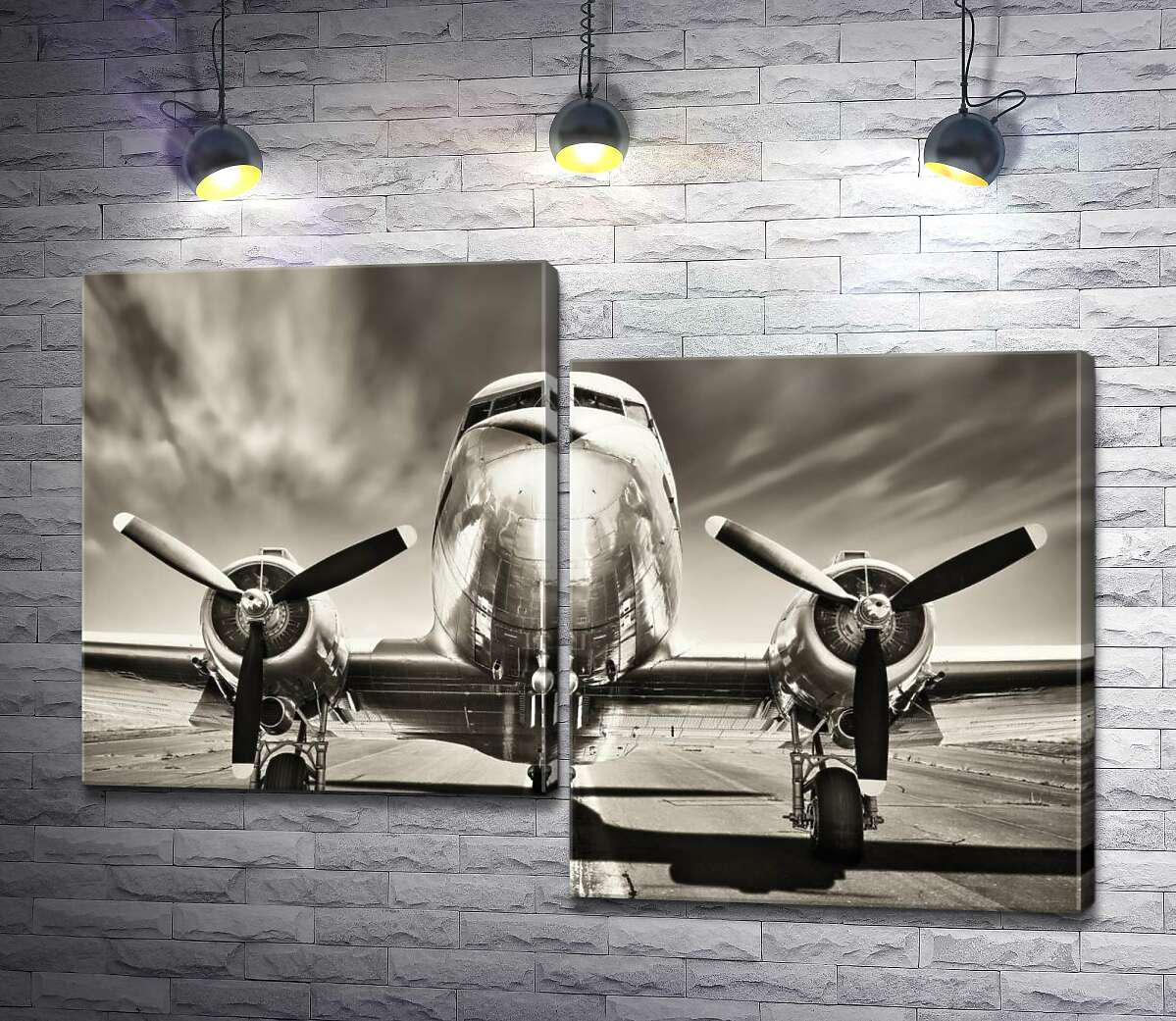 Модульная картина ArtPoster Могутній фюзеляж літака височить над злітною смугою 100x70 см Модуль №5 (000174)