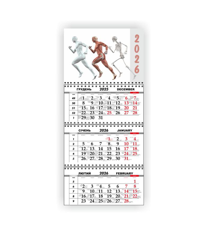 Календарь настенный квартальный Vivay Медицинский на 2026 год (31064191)