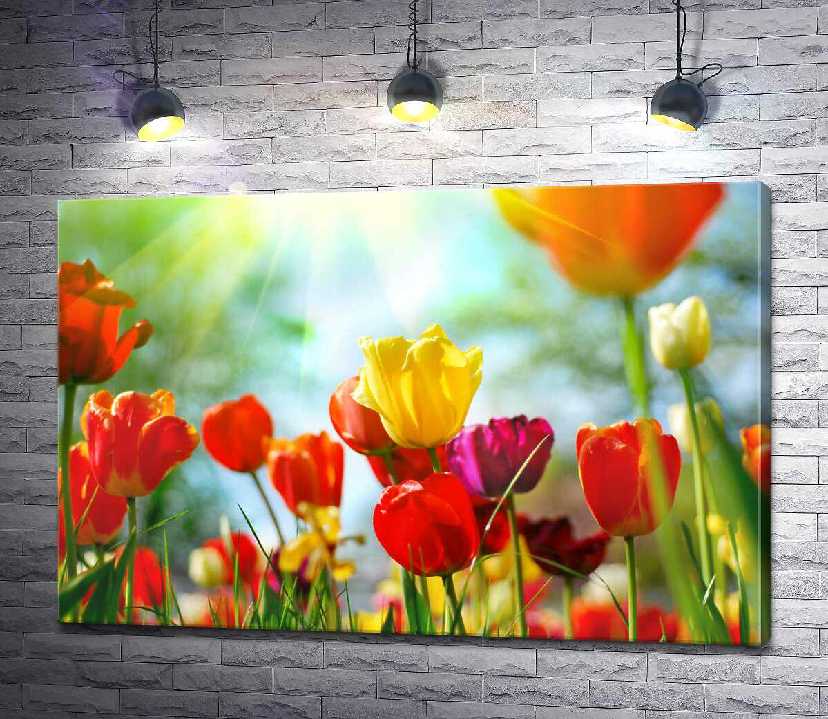 Картина ArtPoster Солнце дарит лучи тепла пышным цветам тюльпанов 130x87 см Модуль №1 (002778)
