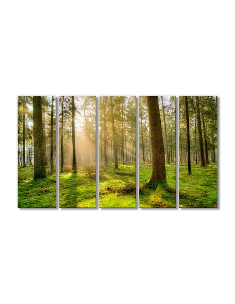 Картина модульная Солнечный луч деревья в лесу 5 модулей 90x135 см