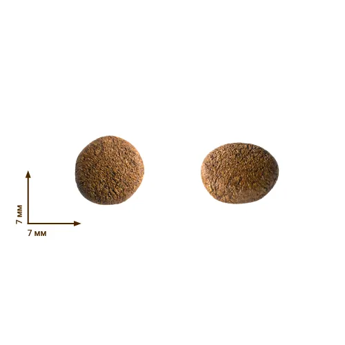 Корм сухой Home Food For Kitten Ягненок с рисом 200 г (11586856) - фото 3 Корм сухой Home Food For Kitten Ягненок с рисом 200 г (11586856) - фото 3