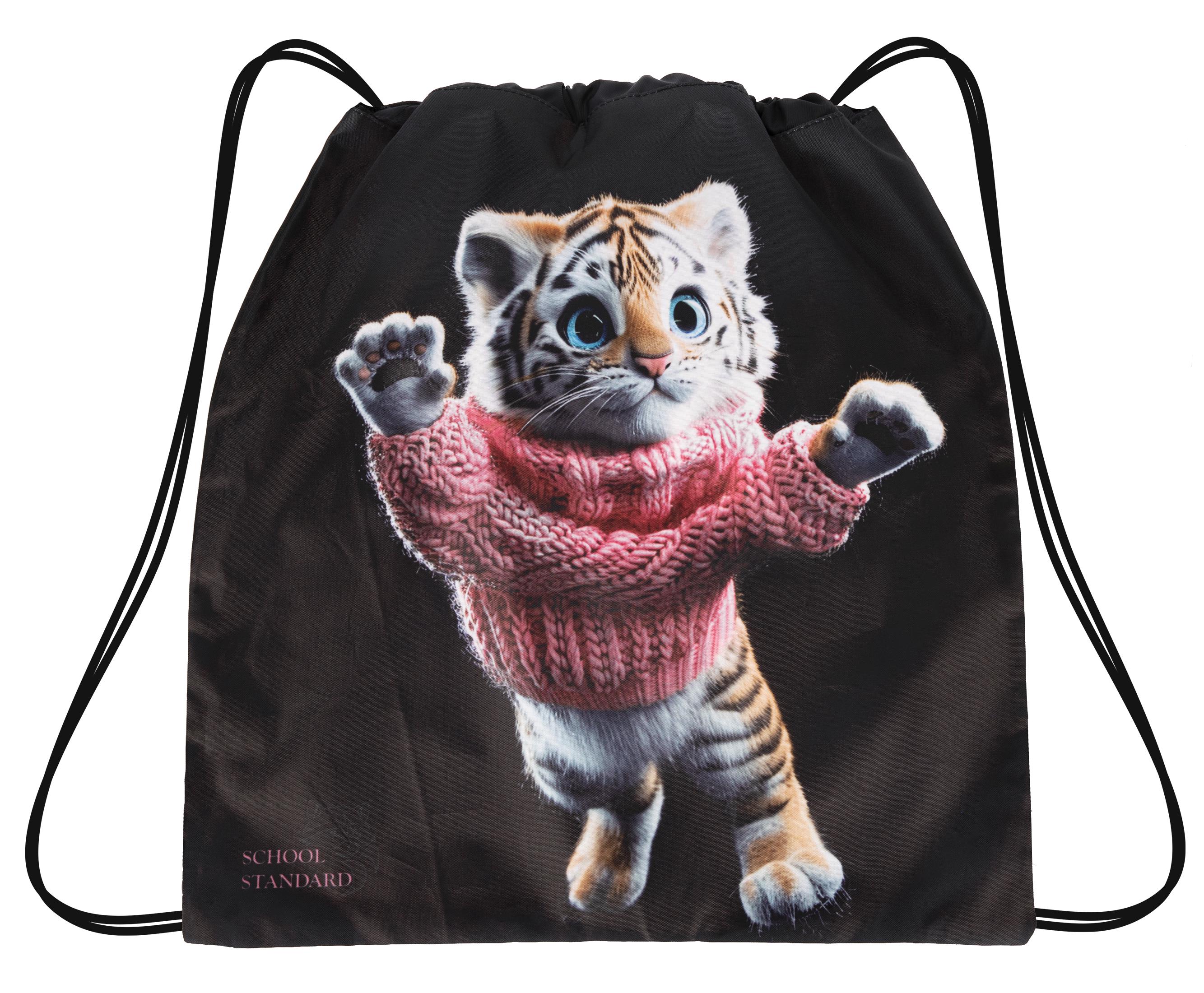 Мешок для сменной обуви для девочки School Standard MSS-28 (25411256)