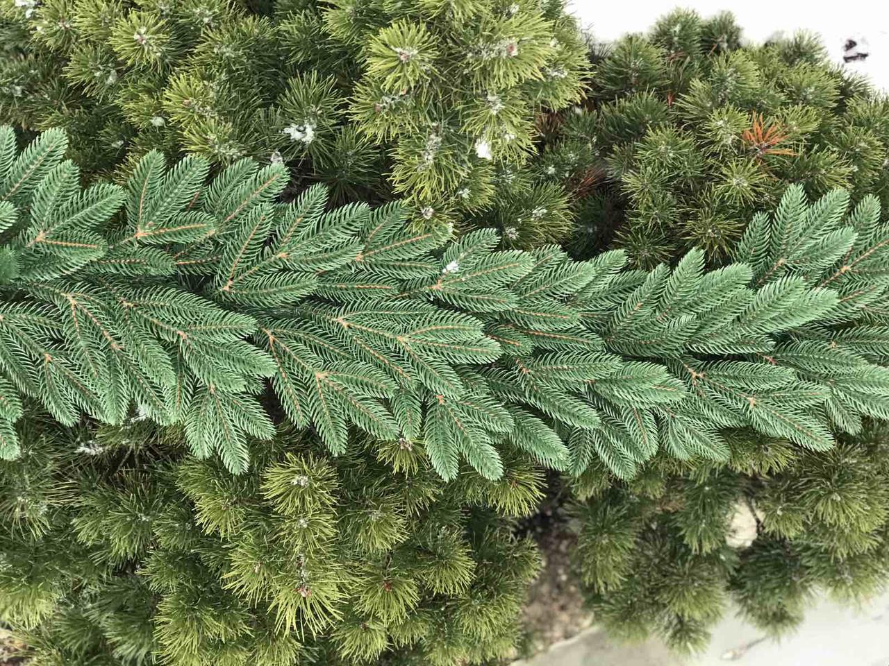 Гірлянда хвойна Classic лита 2 м Зелений Гірлянда хвойна Classic лита 2 м Зелений