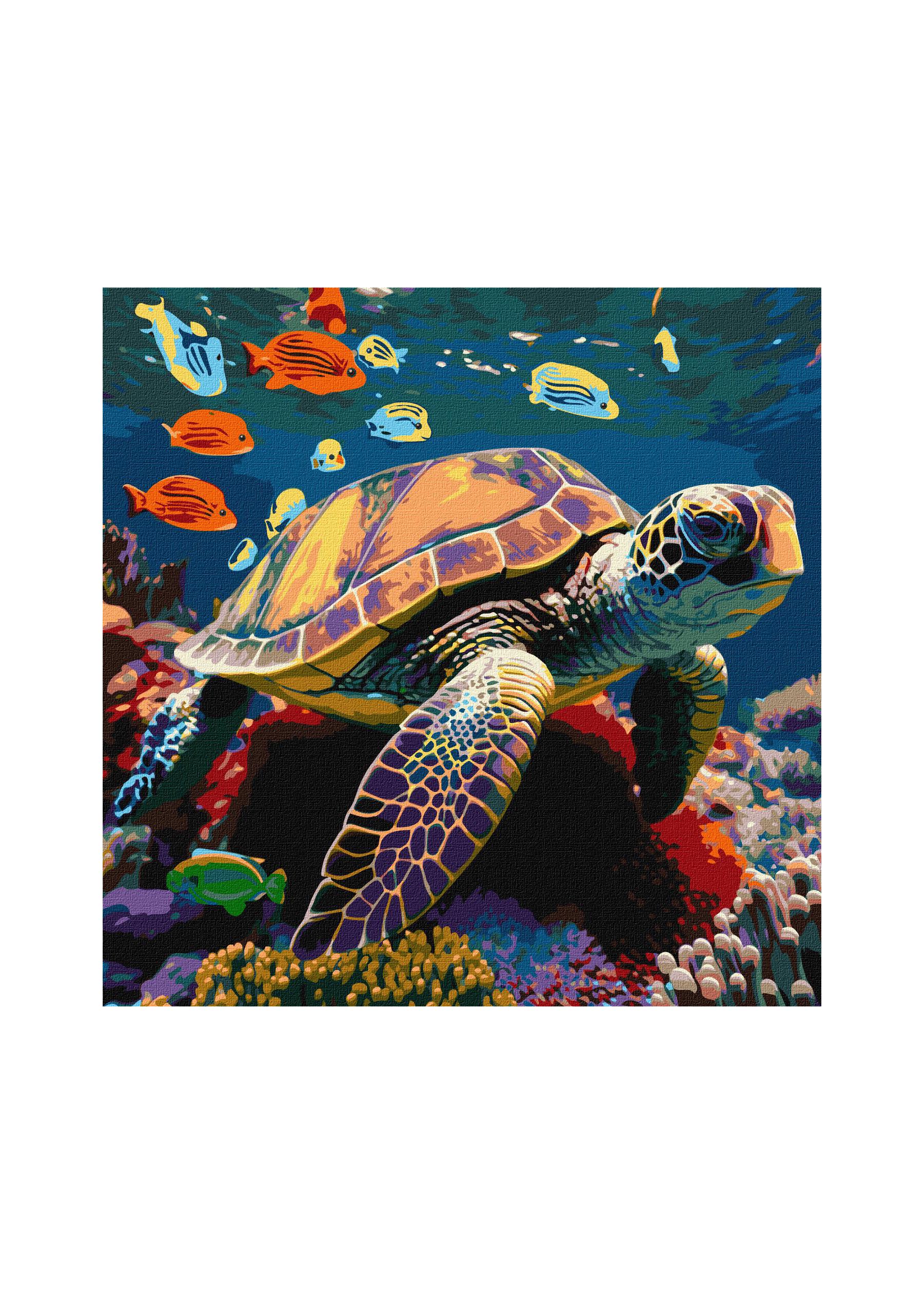 Картина по номерам Идейка Жители подводного мира 40х40 (КНO6503)