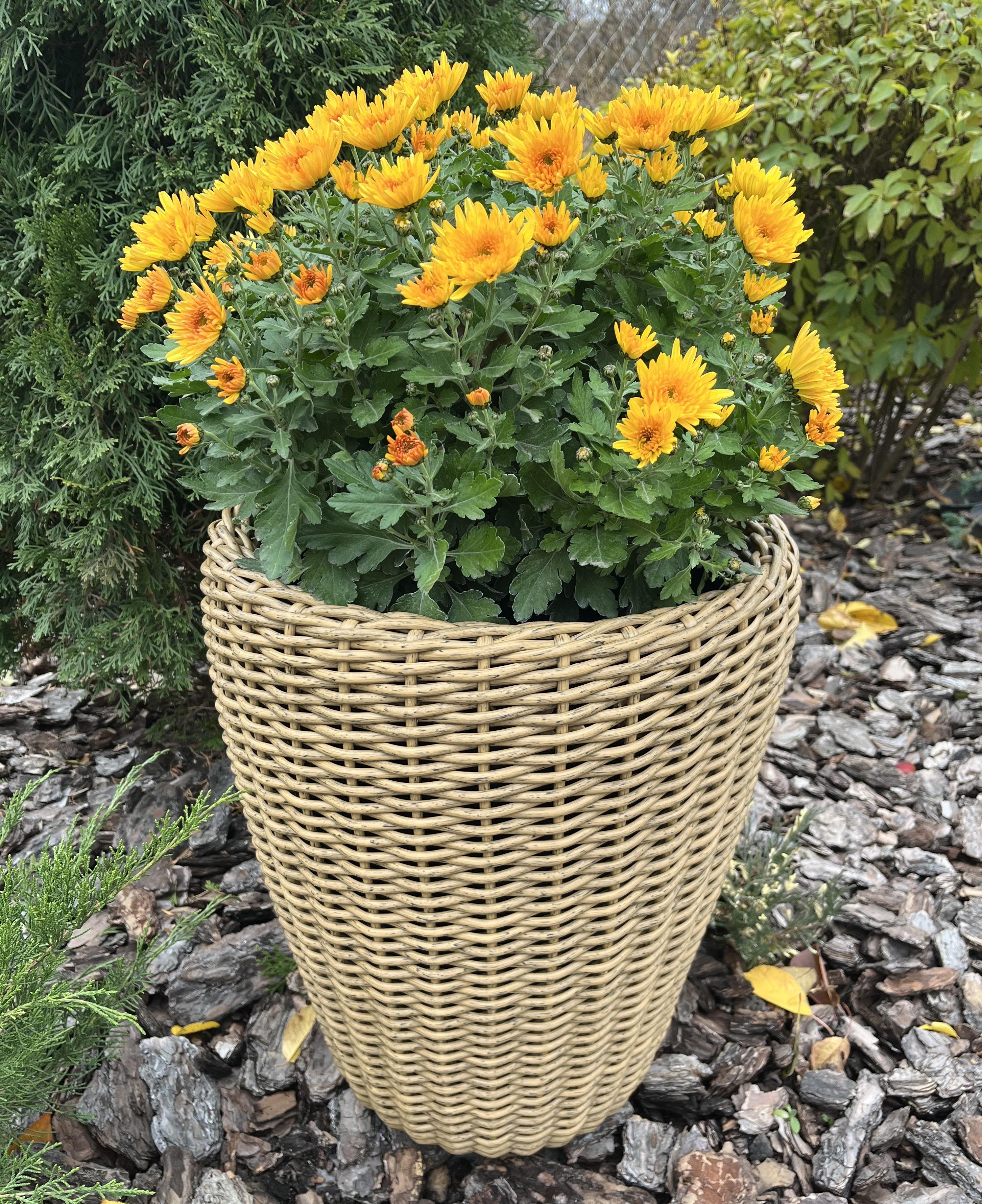 Кашпо для квітів конус зі штучного ротанга 20 л Дерево (29881035) - фото 1 Кашпо для квітів конус зі штучного ротанга 20 л Дерево (29881035) - фото 1