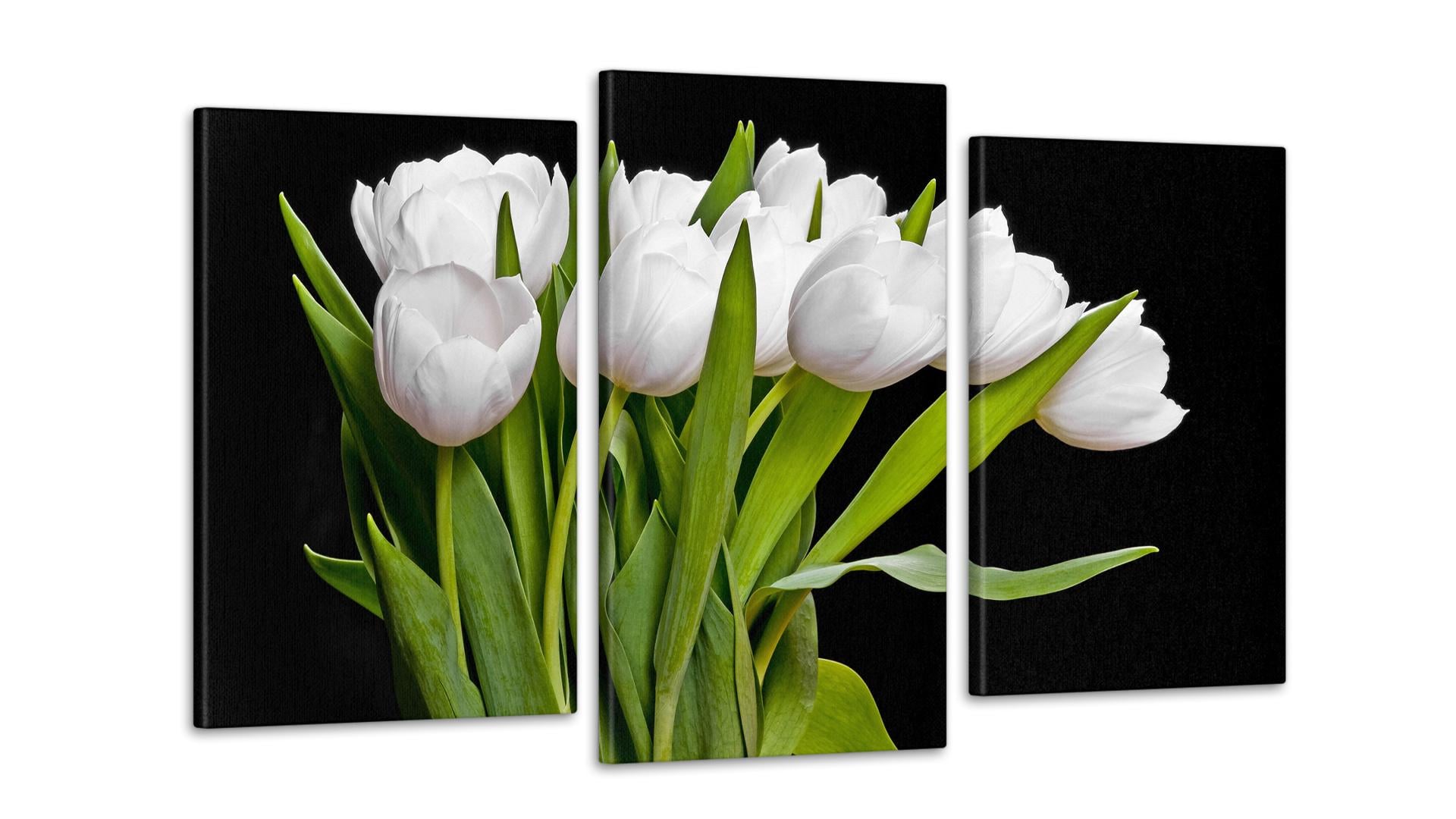 Модульная картина Цветы Тюльпаны 53x100 см (Art-86_3)