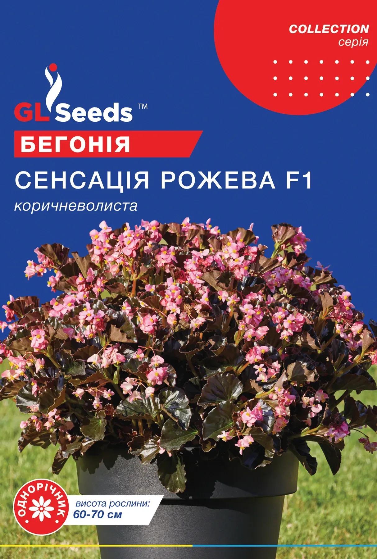 Насіння бегонiї GL Seeds Collection Сенсація рожева F1 10 шт. (911)