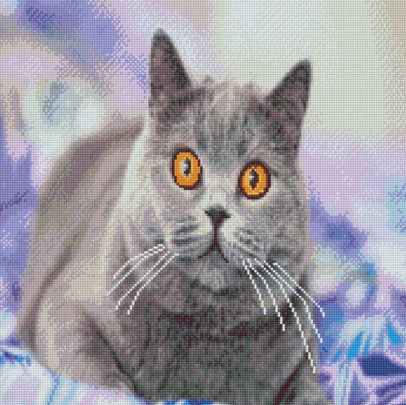 Алмазная мозаика Strateg Заинтересованный серый кот 50х50 см (GA0004)