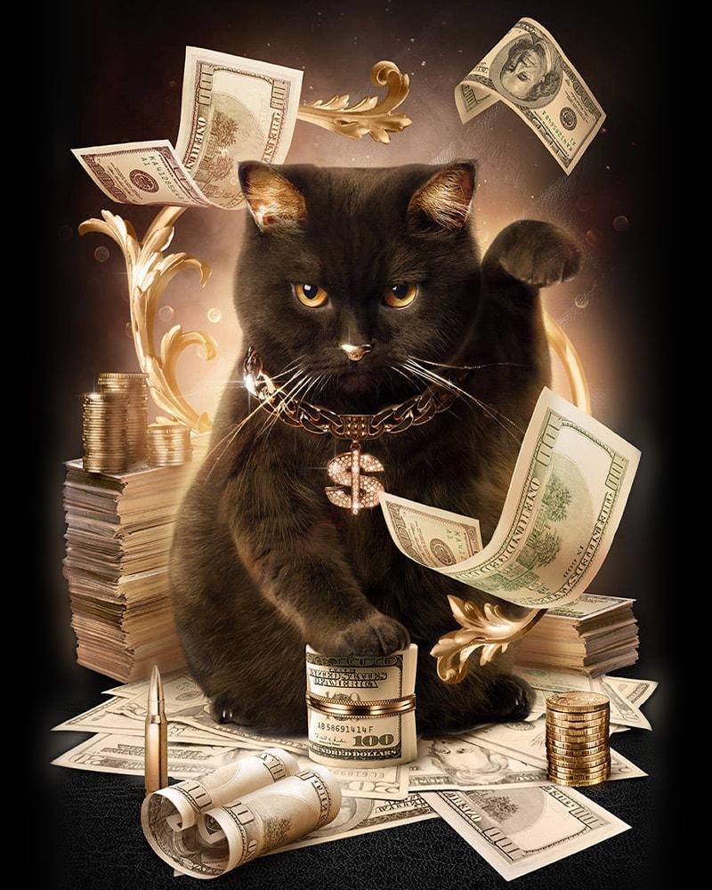 Картина по номерам Brushme SH8911 Денежный Кот 40x50 см (19602)