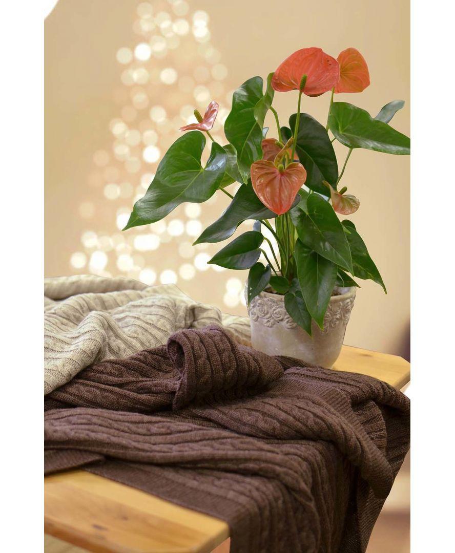 Плед SOFT косы 015 90х130 см Мокко (011692) - фото 3