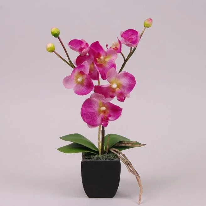 Декорация фаленопсис Flora Фиолетовая (7450)